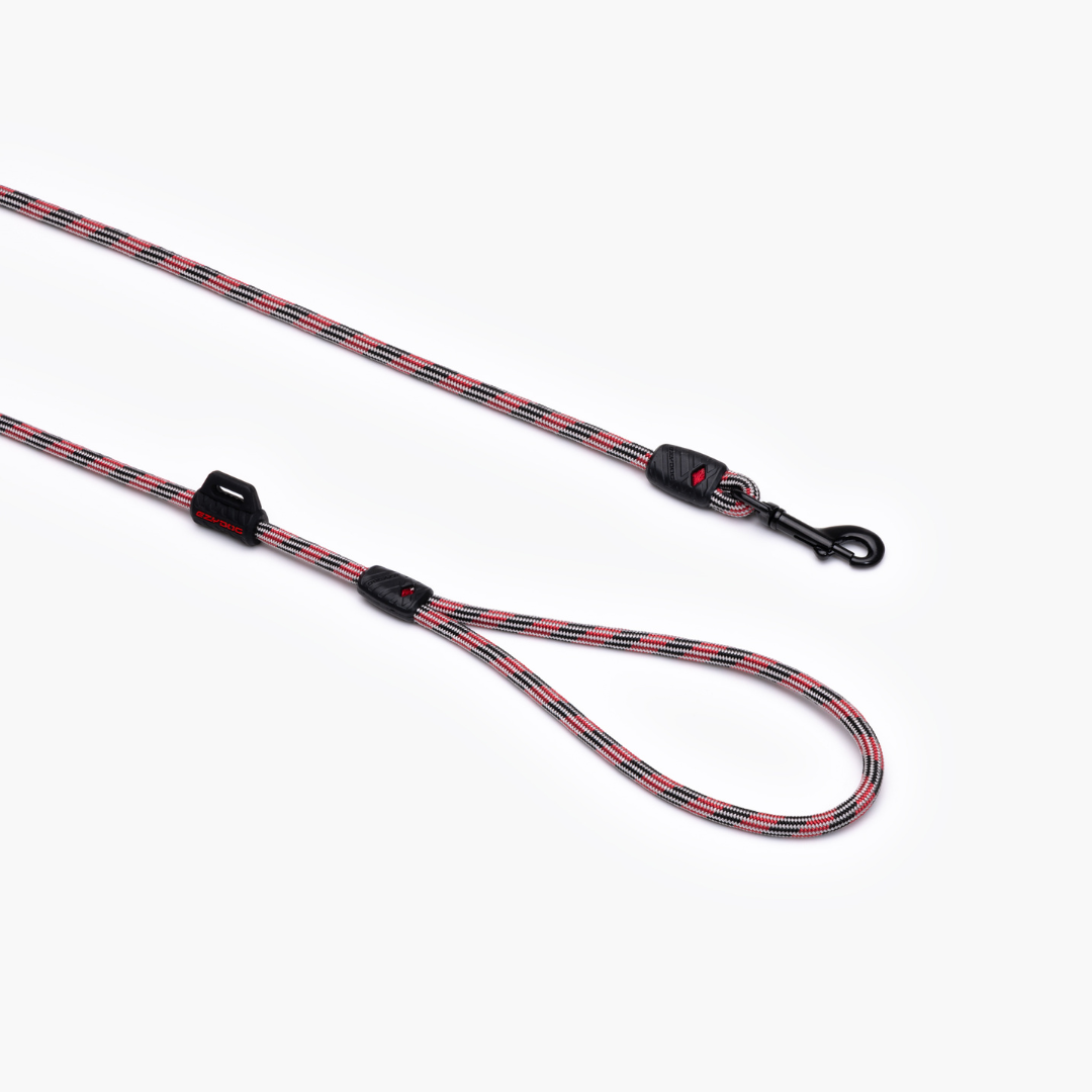 EZYDOG Summit Leash Lite