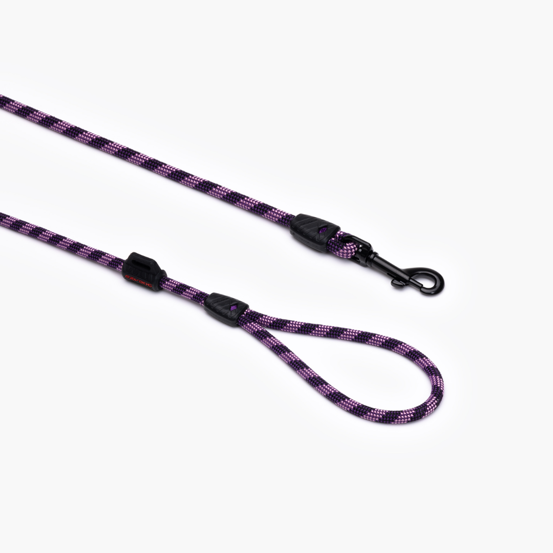 EZYDOG Summit Leash