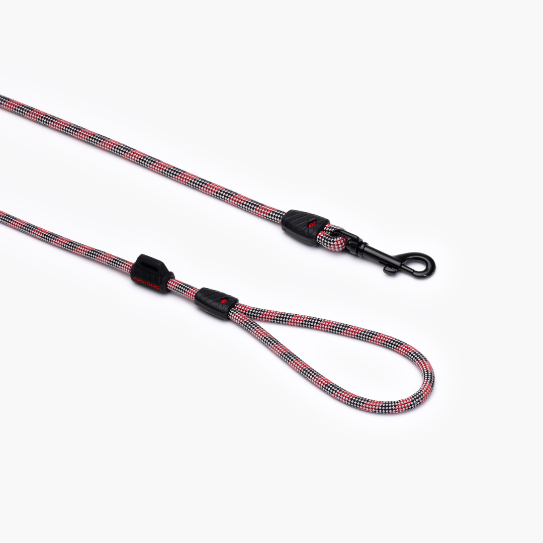 EZYDOG Summit Leash