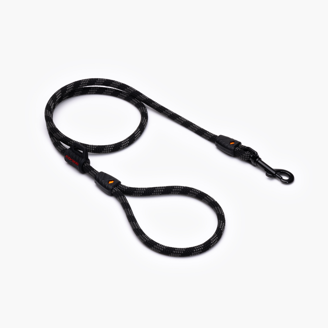 EZYDOG Summit Leash