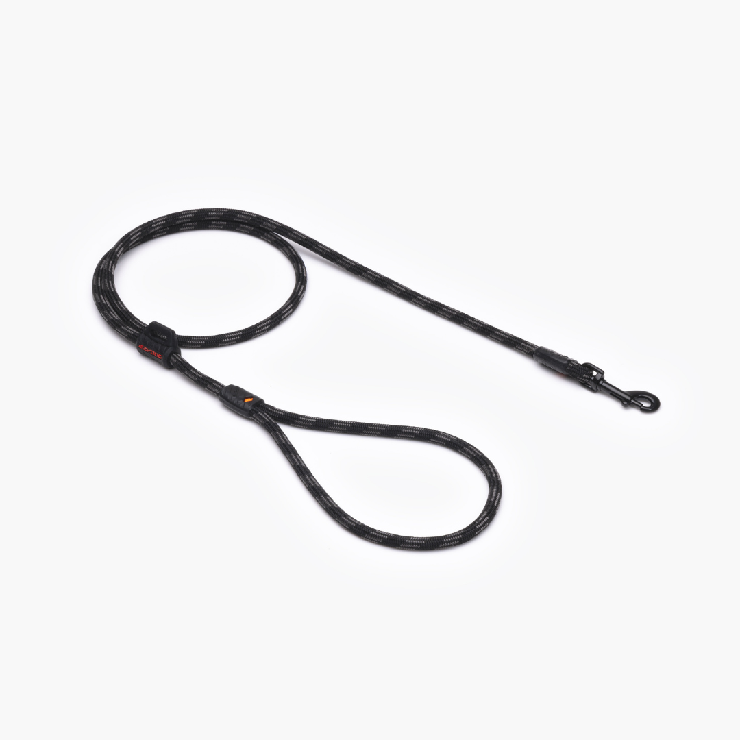 EZYDOG Summit Leash Lite