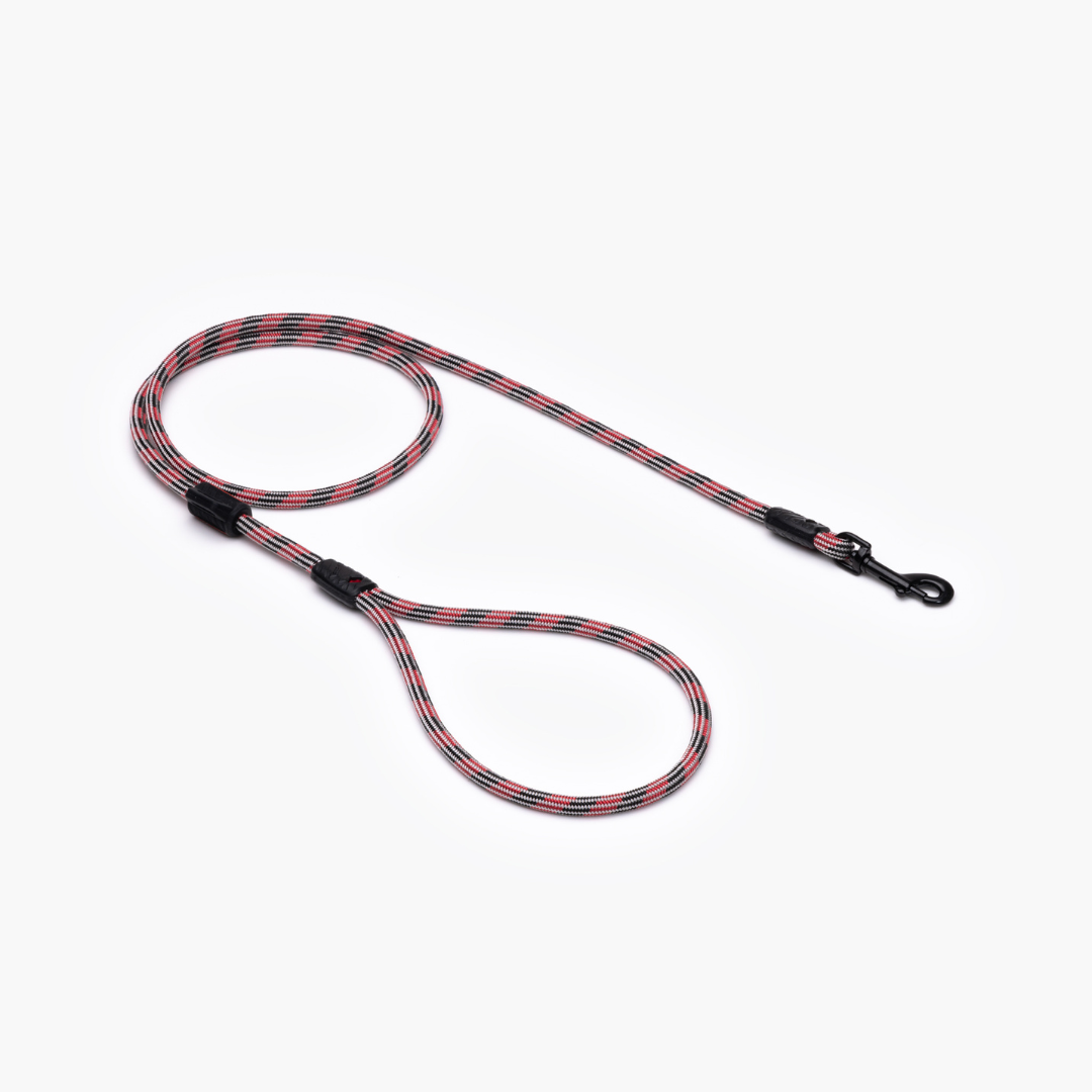 EZYDOG Summit Leash Lite