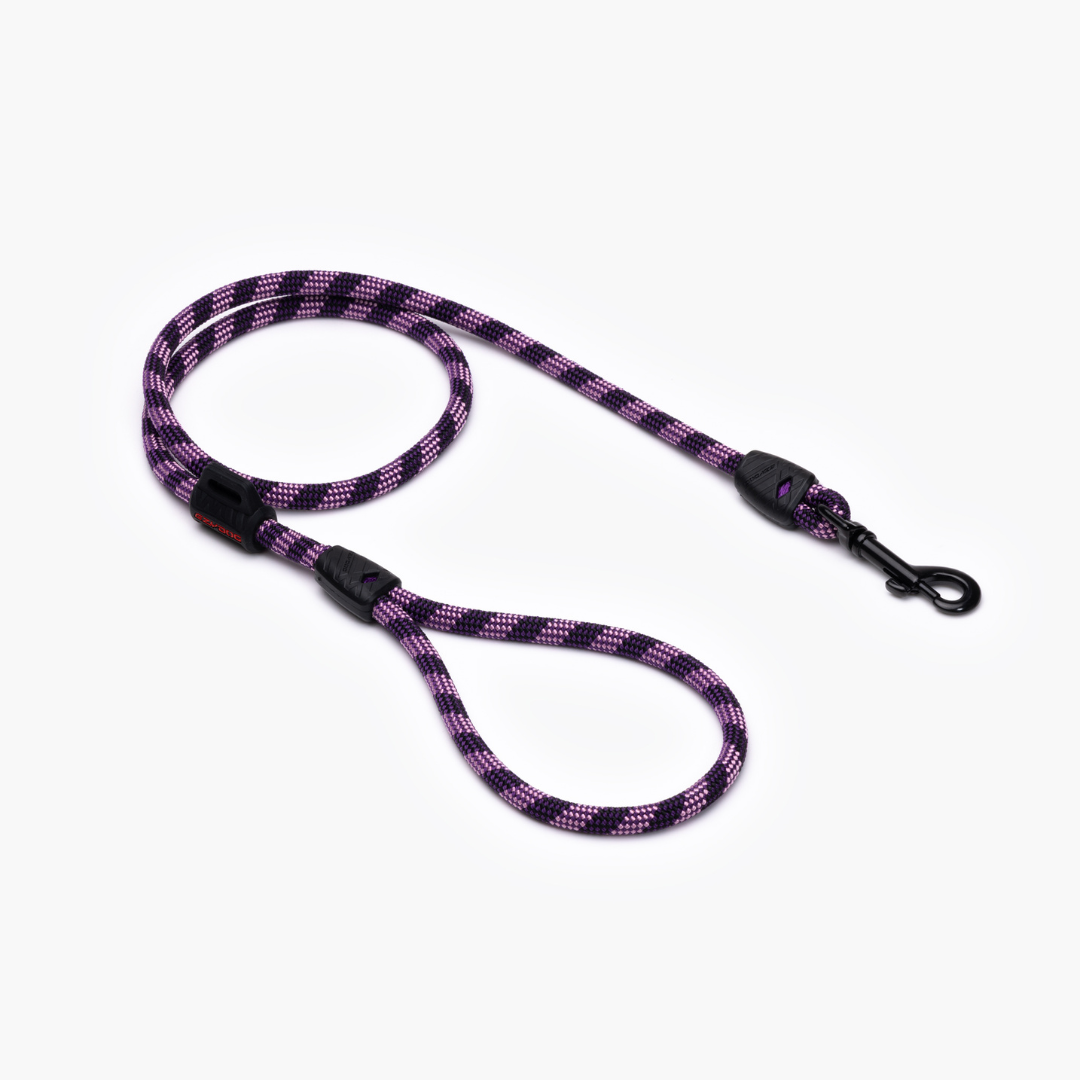 EZYDOG Summit Leash