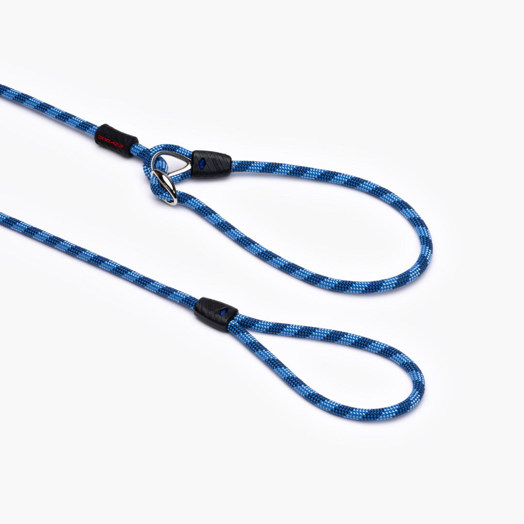 EZYDOG Luca Leash
