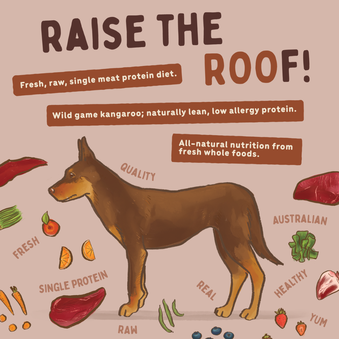 BIGDOG Kanga Raw Dog Food