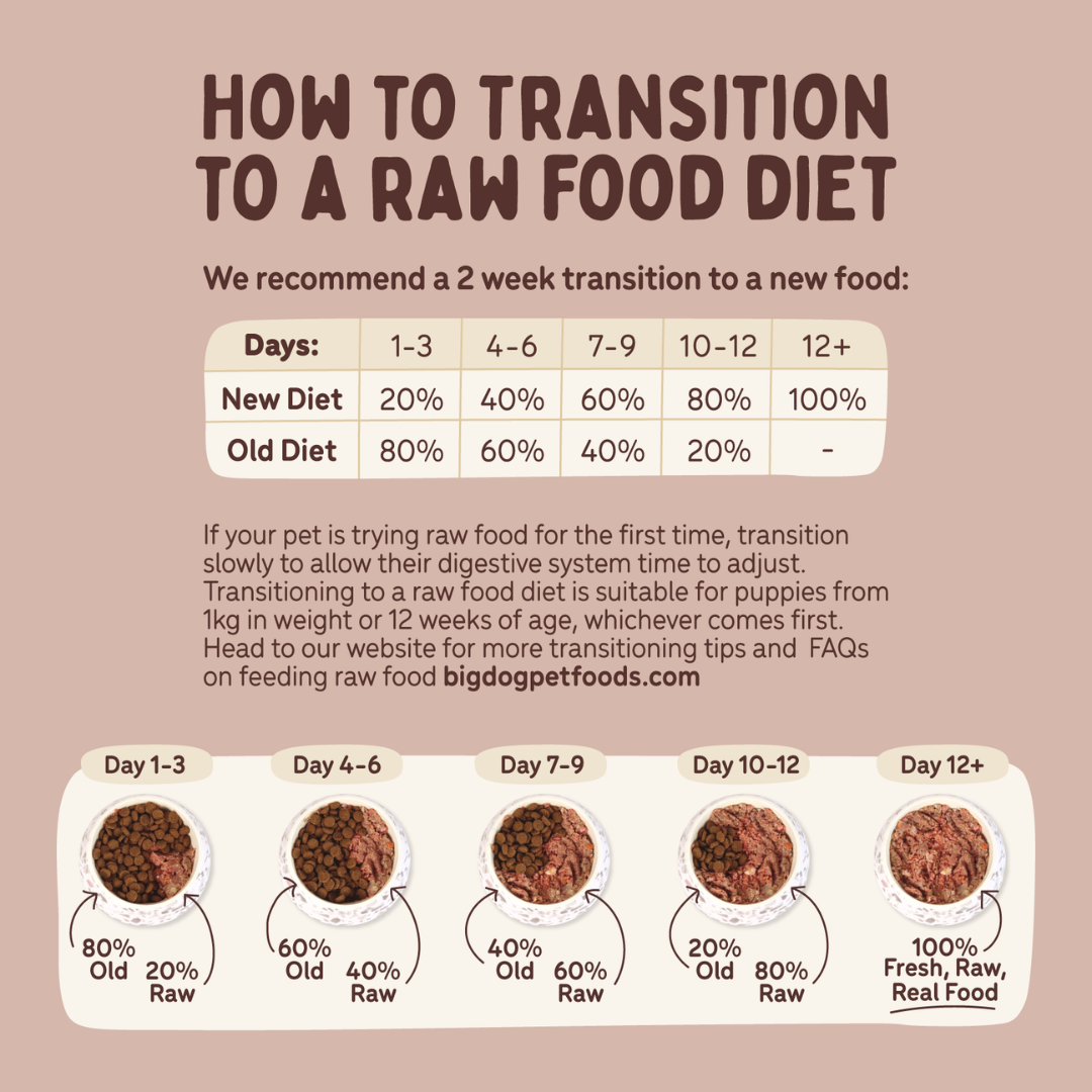 BIGDOG Kanga Raw Dog Food