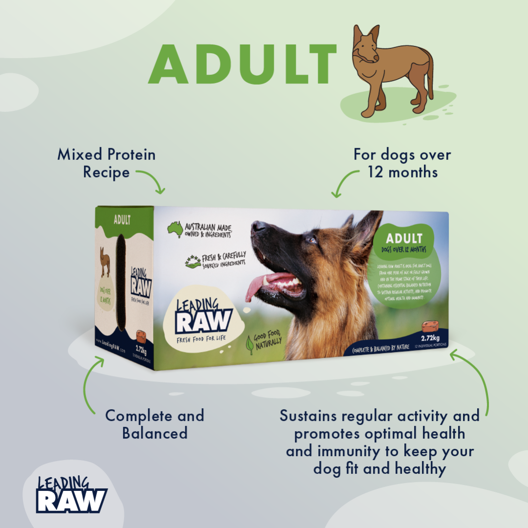 Leading RAW BARF Adult Raw Dog Food