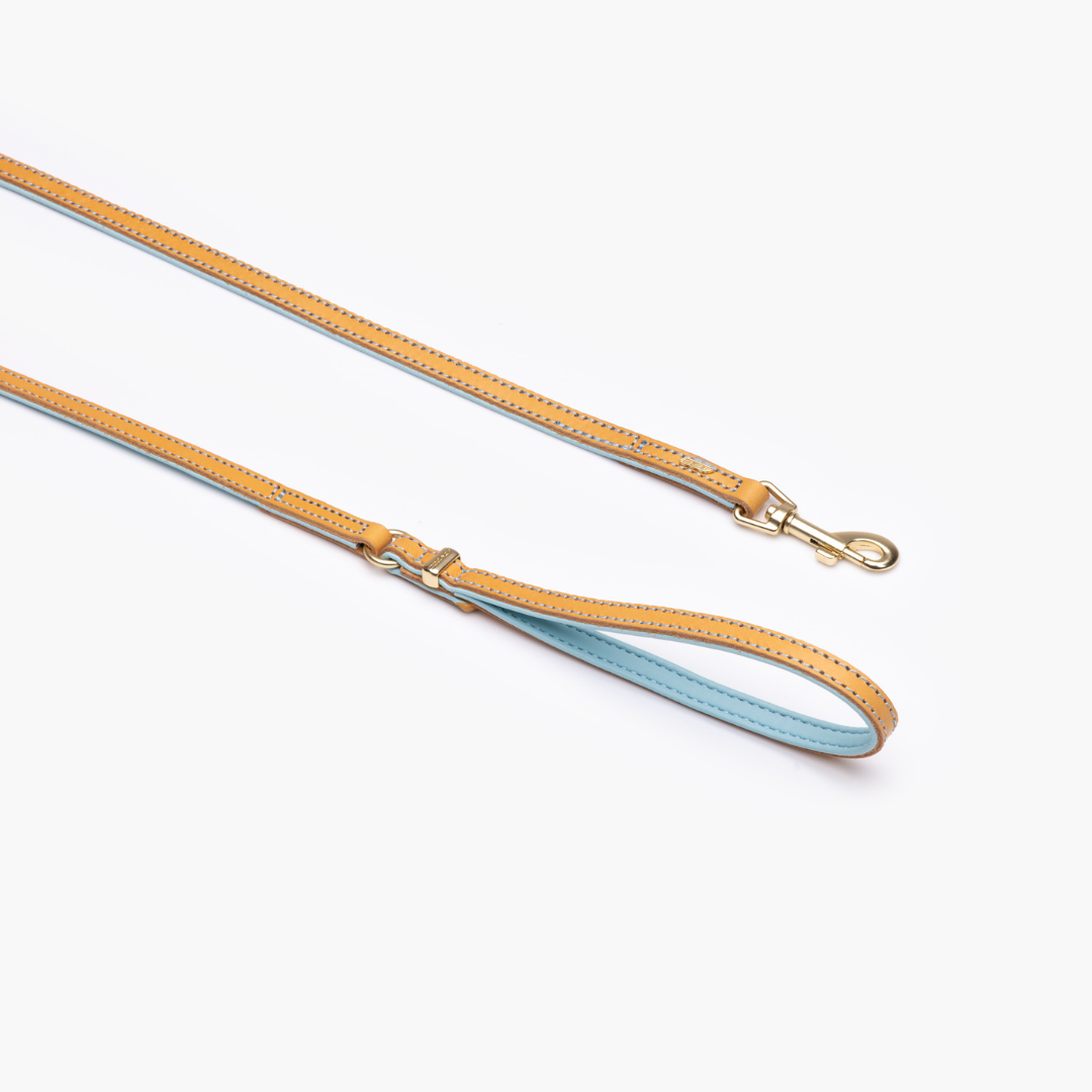 EZYDOG Oxford Leather Dog Leash Lite