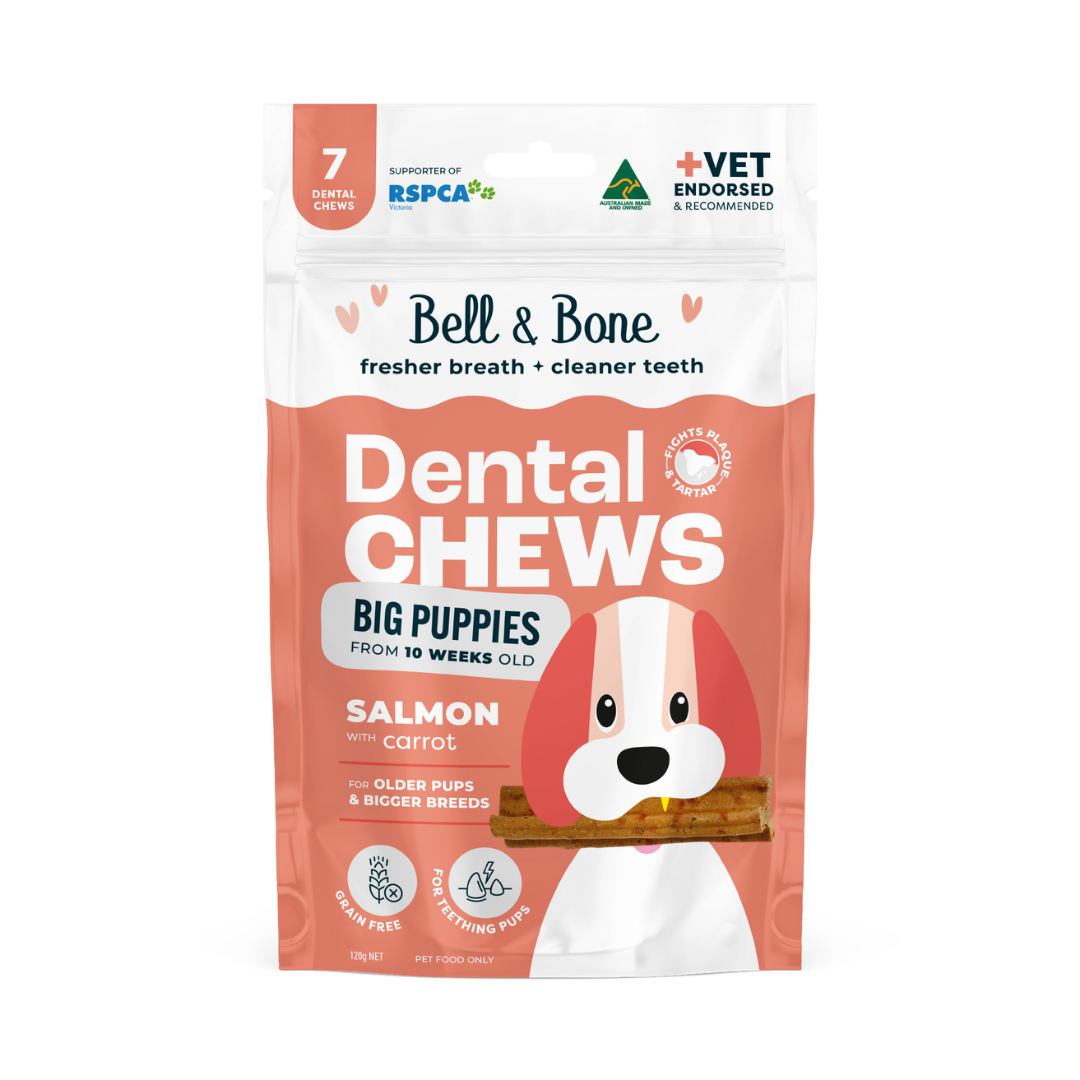 Bell & Bone Puppy Dental Chews - Salmon and Carrot