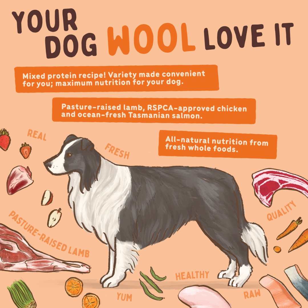 BIGDOG Lamb Raw Dog Food