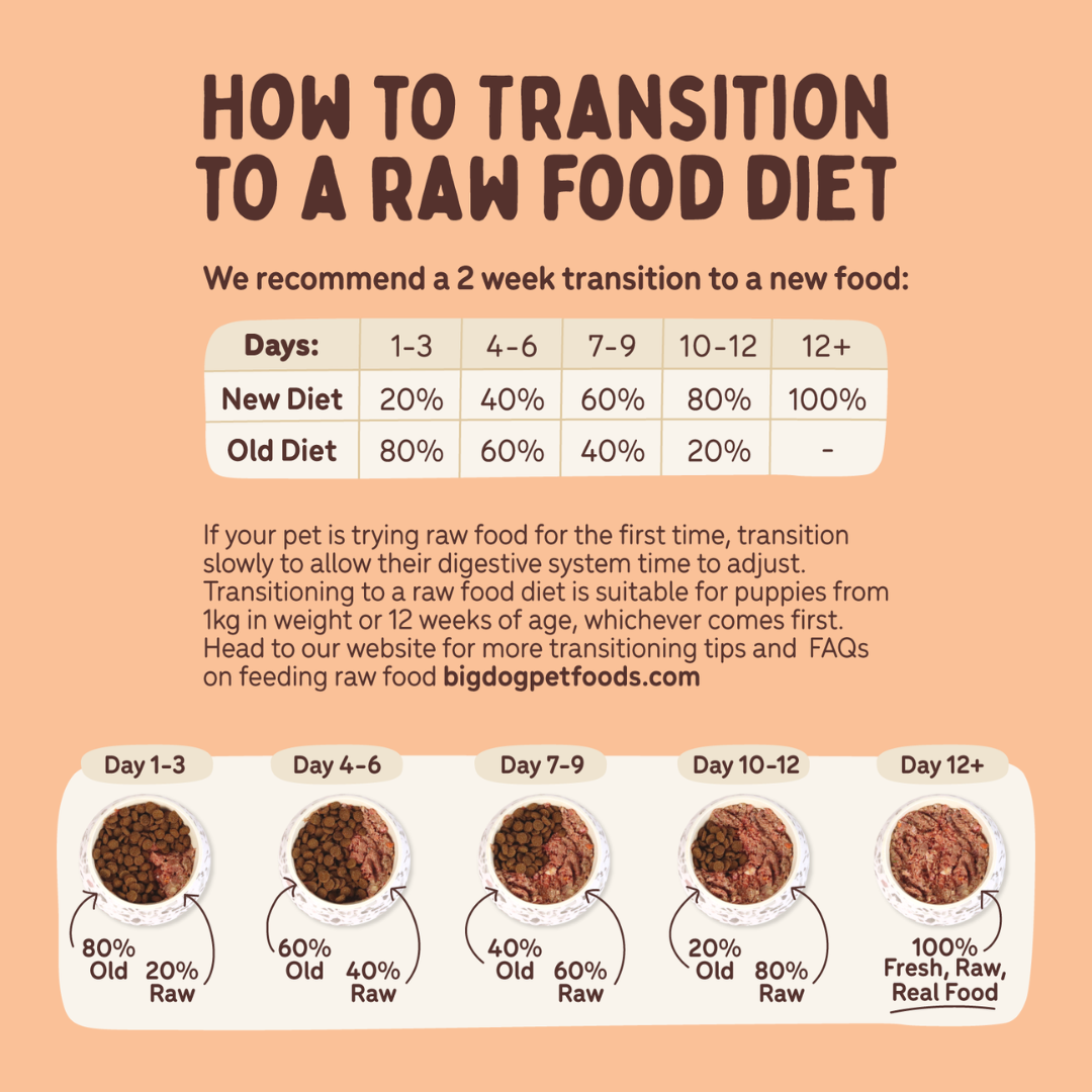 BIGDOG Lamb Raw Dog Food