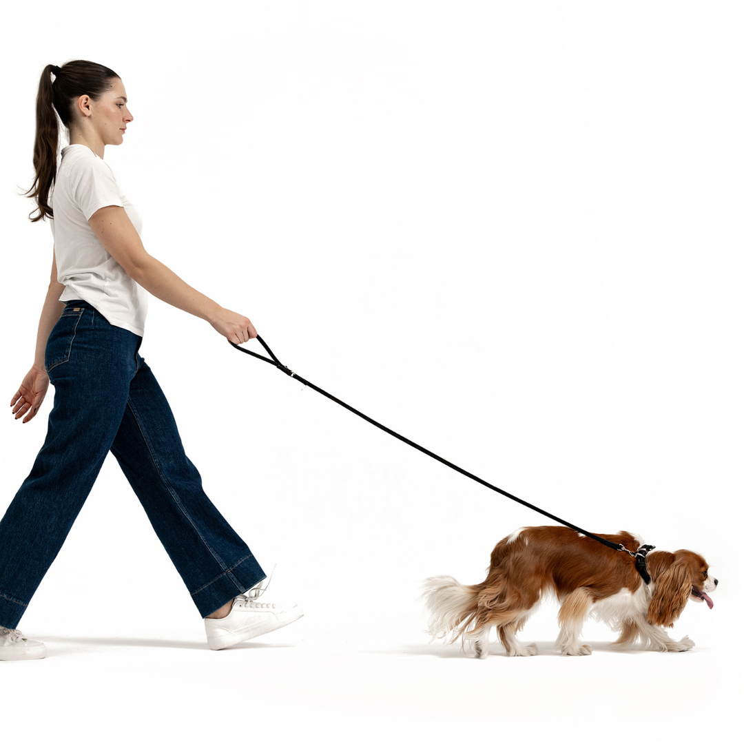 EZYDOG Oxford Leather Dog Leash Lite