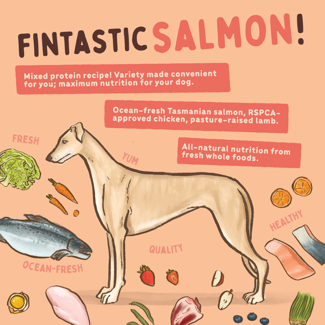 BIGDOG Tasmanian Salmon Raw Dog Food