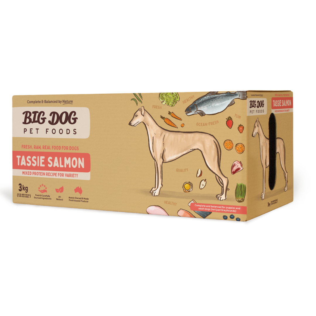 BIGDOG Tasmanian Salmon Raw Dog Food