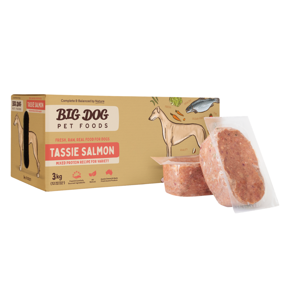 BIGDOG Tasmanian Salmon Raw Dog Food