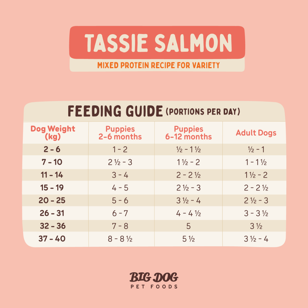 BIGDOG Tasmanian Salmon Raw Dog Food