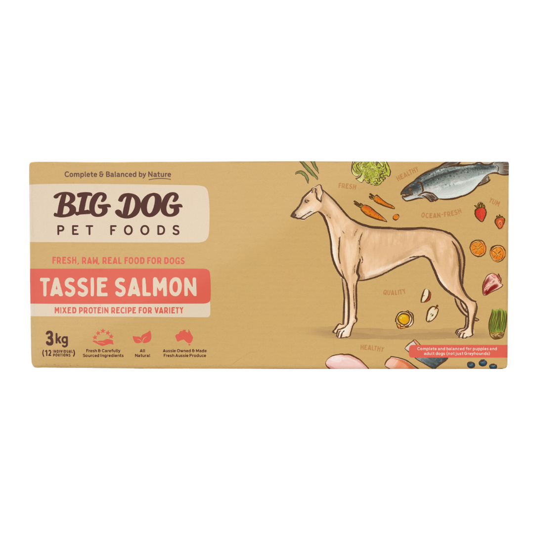 BIGDOG Tasmanian Salmon Raw Dog Food