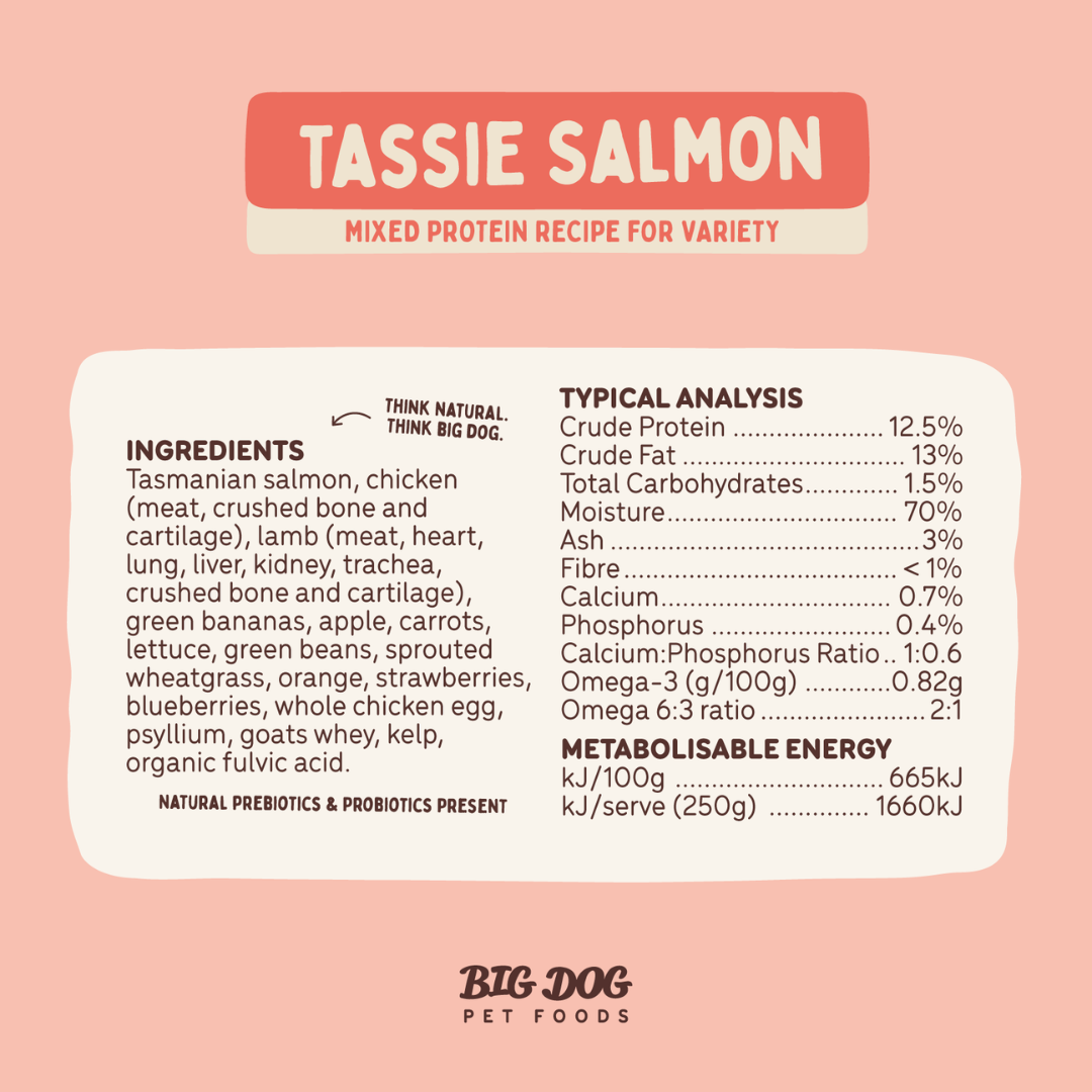 BIGDOG Tasmanian Salmon Raw Dog Food