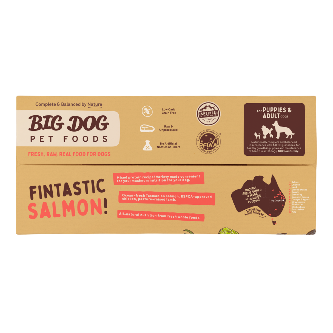 BIGDOG Tasmanian Salmon Raw Dog Food