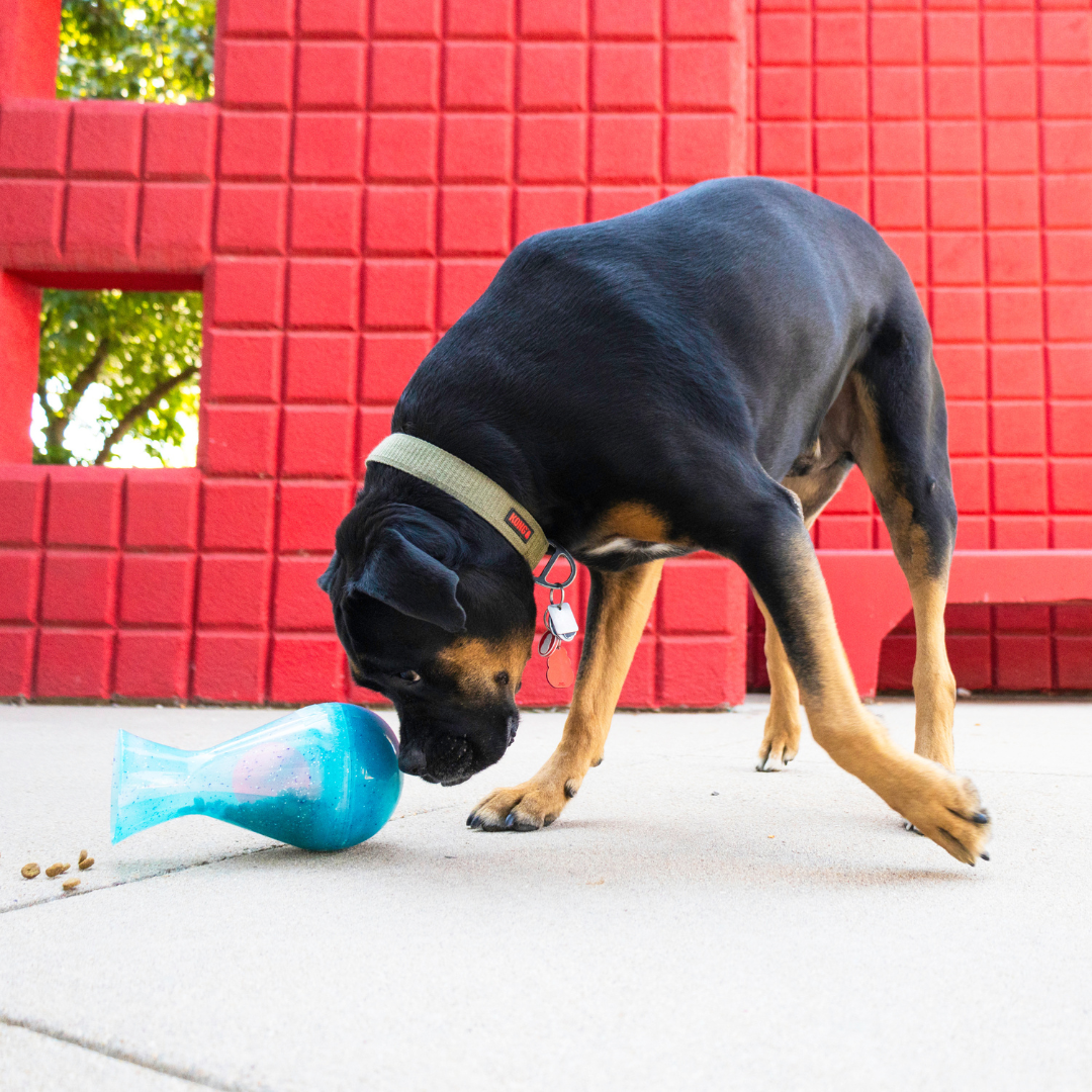 KONG Rewards Tipsy Large Treat Dispensing Dog Toy