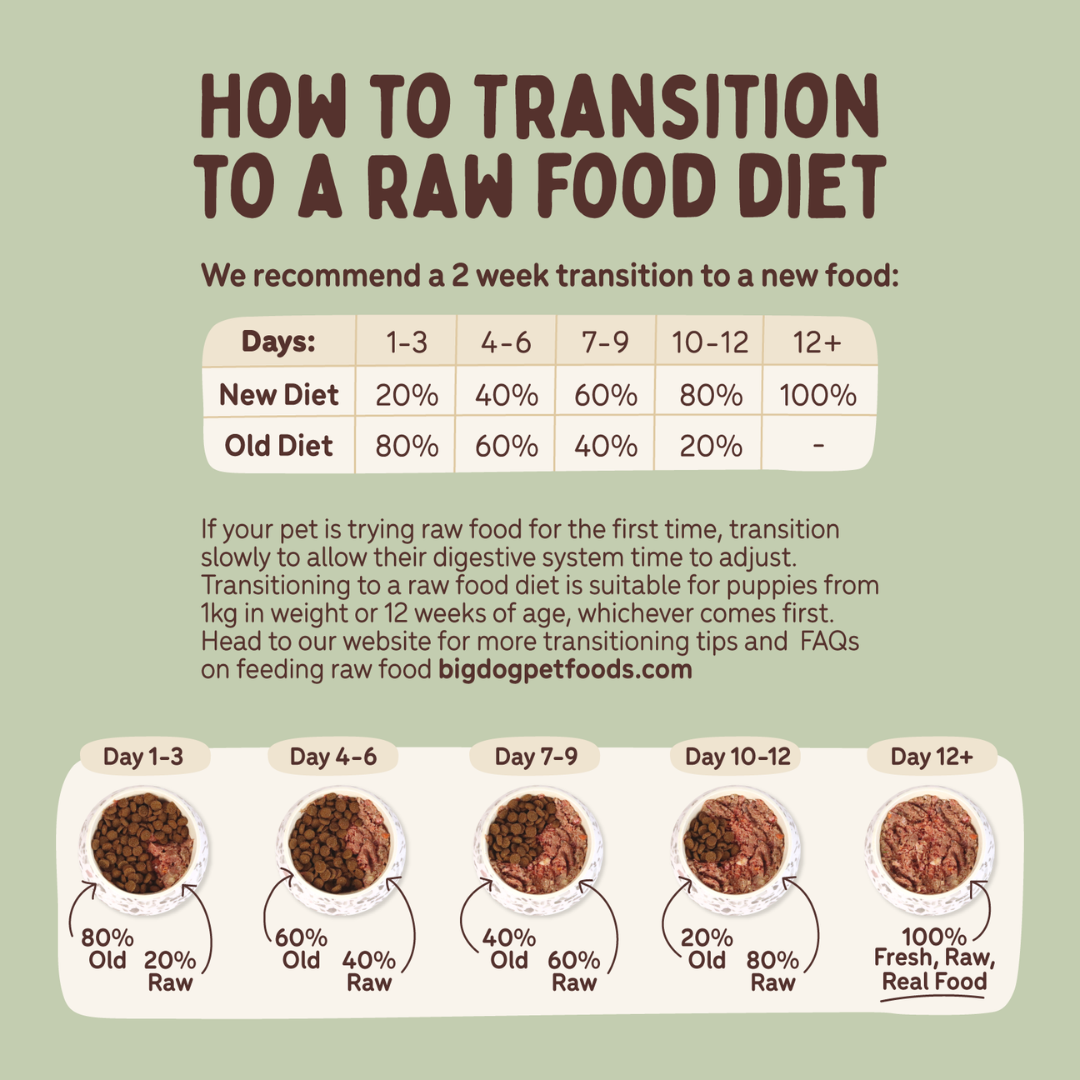 BIGDOG Turkey Raw Dog Food