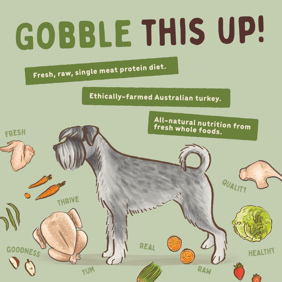 BIGDOG Turkey Raw Dog Food