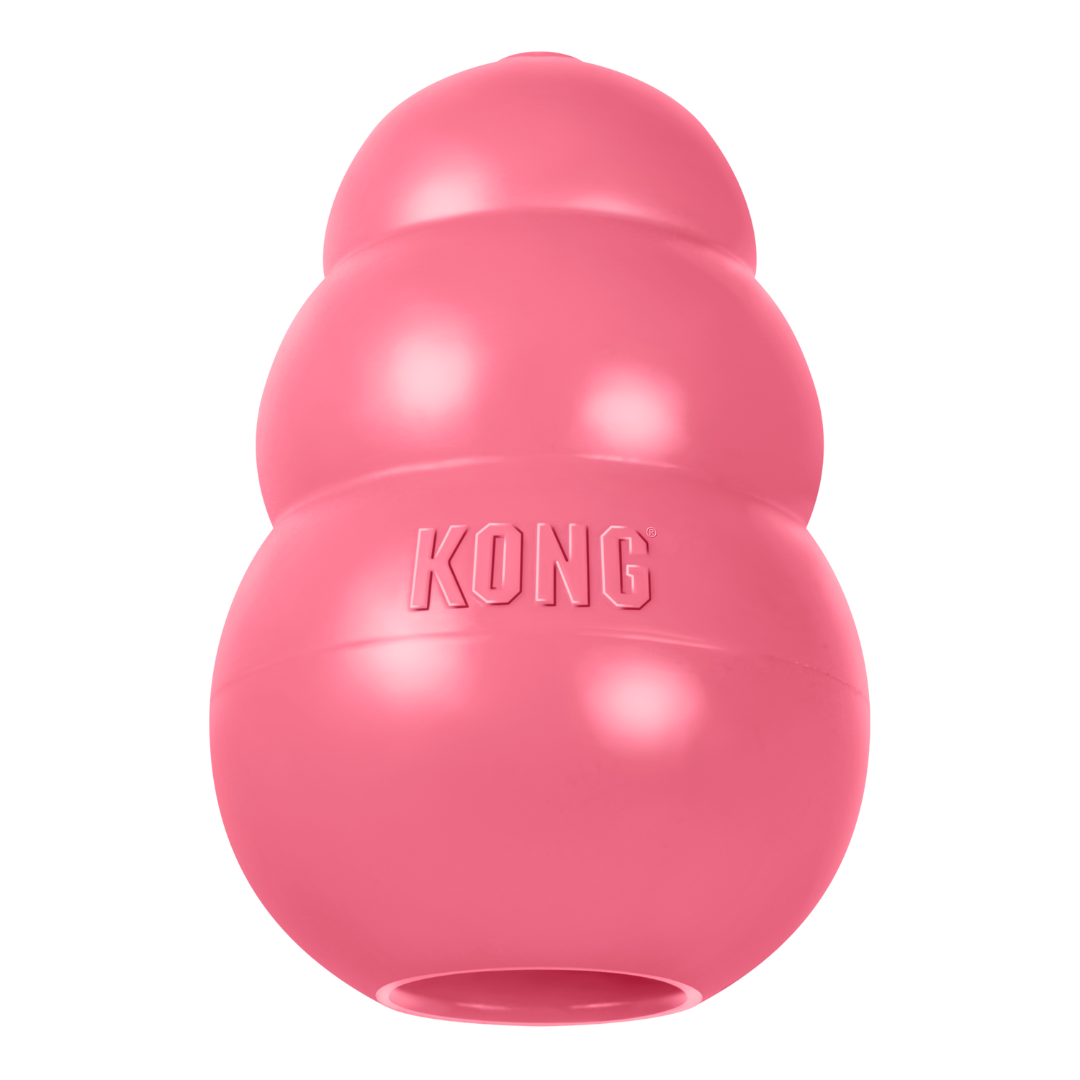 KONG Puppy Toy