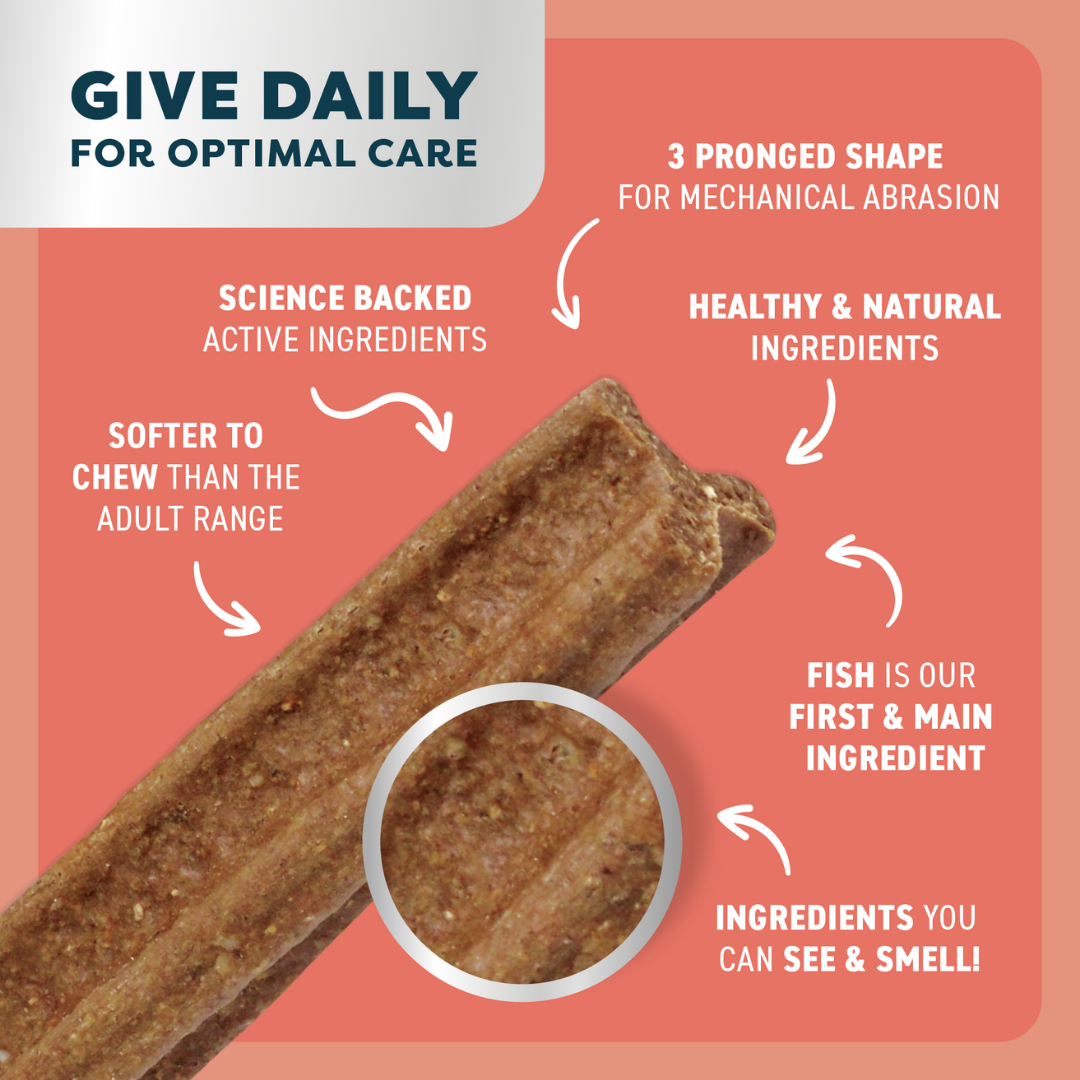 Bell & Bone Puppy Dental Chews - Salmon and Carrot