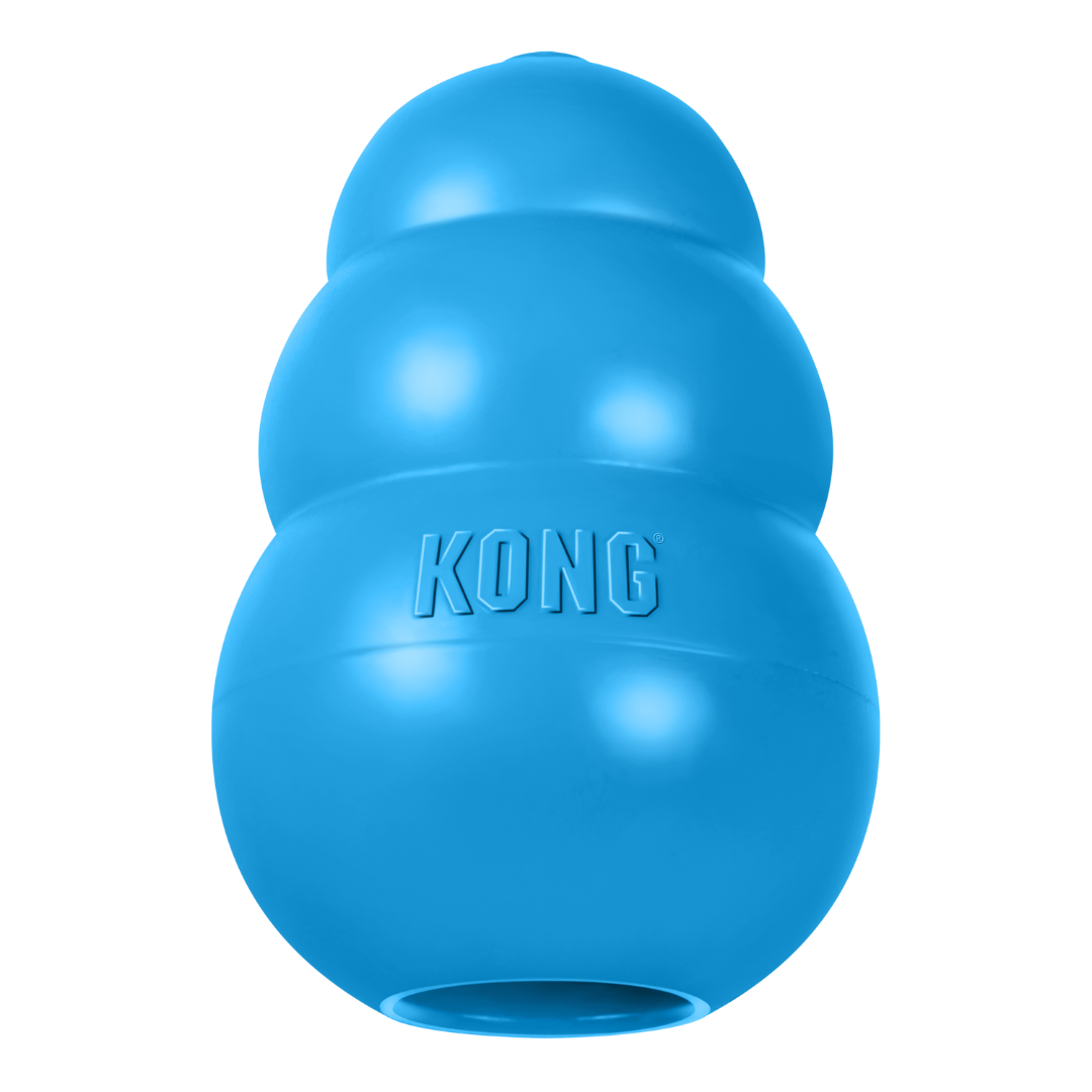 KONG Puppy Toy