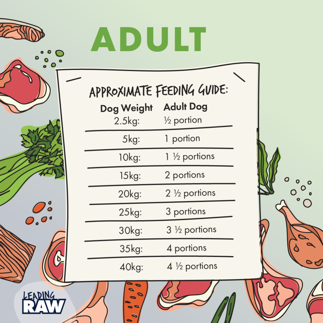 Leading RAW BARF Adult Raw Dog Food