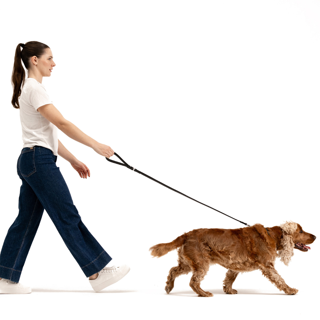 EZYDOG Oxford Leather Dog Leash