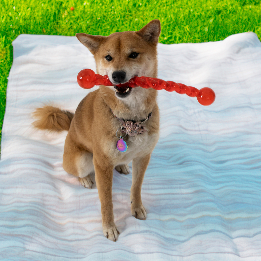 KONG Safestix Dog Toy