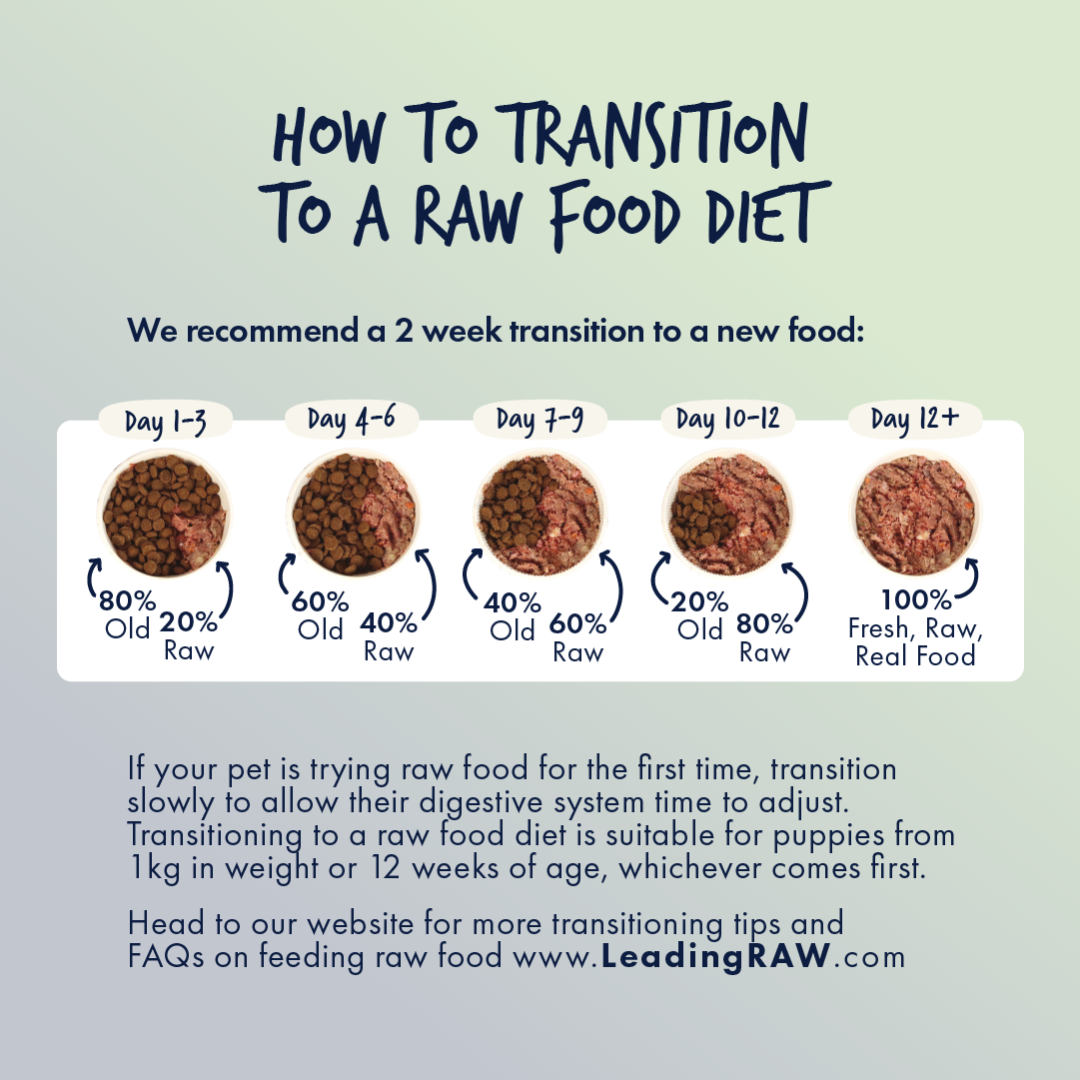 Leading RAW BARF Adult Raw Dog Food