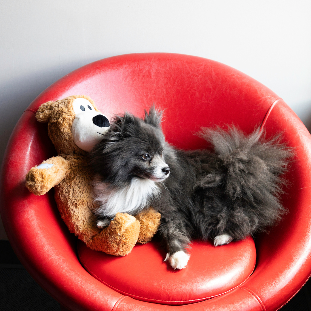 KONG Wild Knots Bears Dog Toy