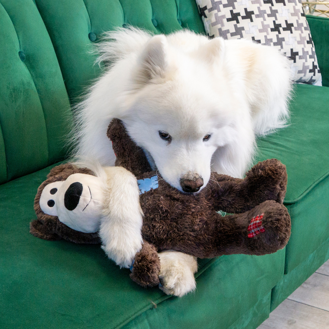 KONG Wild Knots Bears Dog Toy