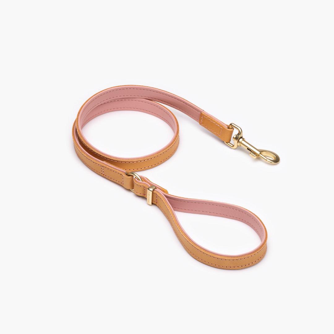 EZYDOG Oxford Leather Dog Leash