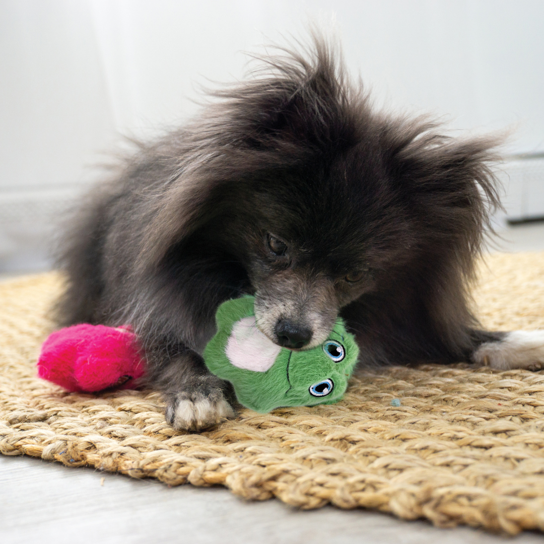 KONG Snuzzles Mini Frog Dog Toy