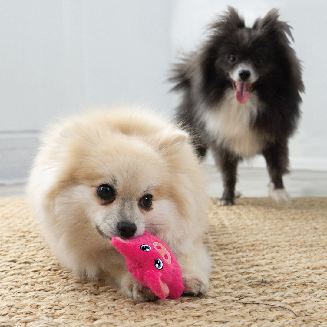 KONG Snuzzles Mini Pig Dog Toy