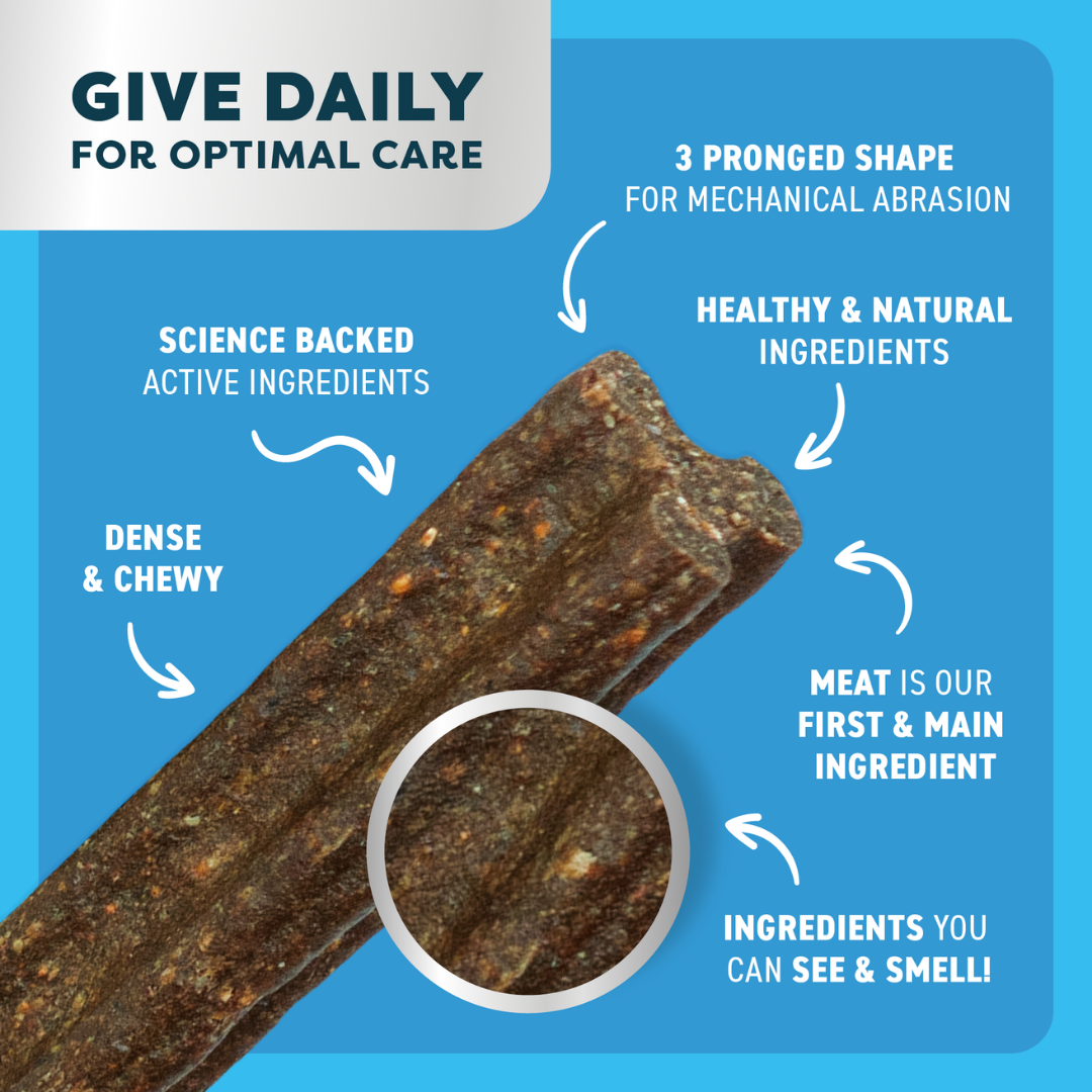 Bell & Bone Adult Dental Sticks - Lamb, Mint and Manuka Honey