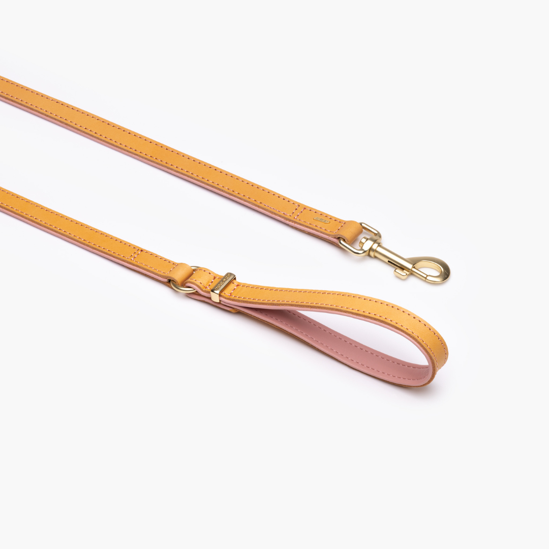 EZYDOG Oxford Leather Dog Leash
