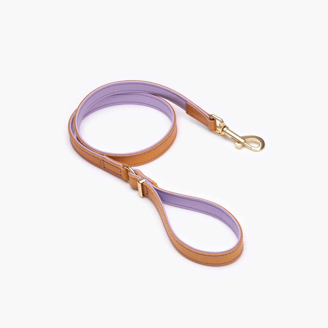 EZYDOG Oxford Leather Dog Leash