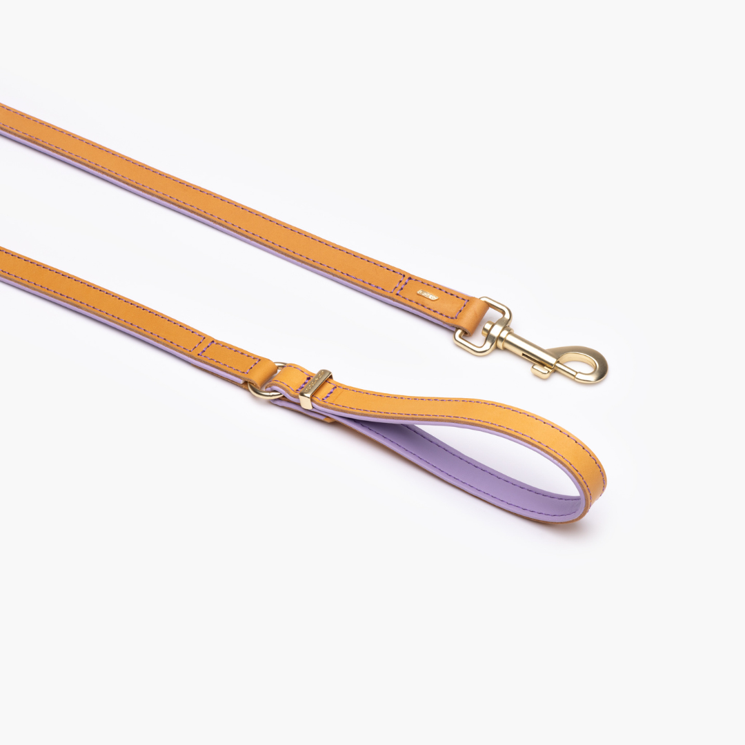 EZYDOG Oxford Leather Dog Leash
