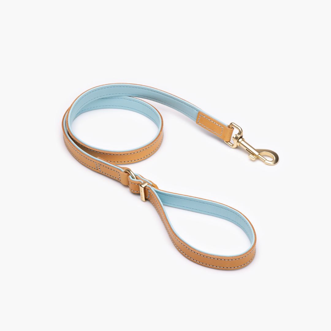 EZYDOG Oxford Leather Dog Leash