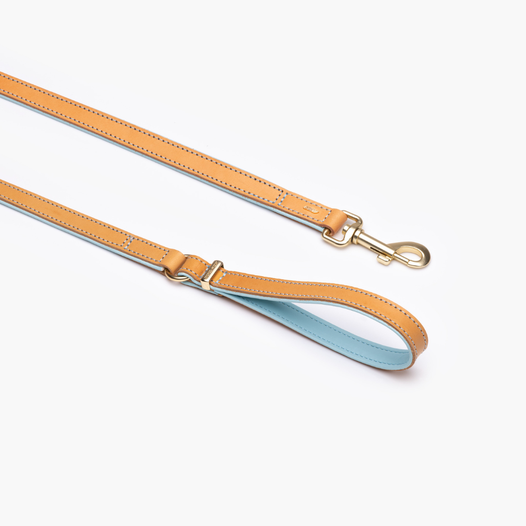 EZYDOG Oxford Leather Dog Leash