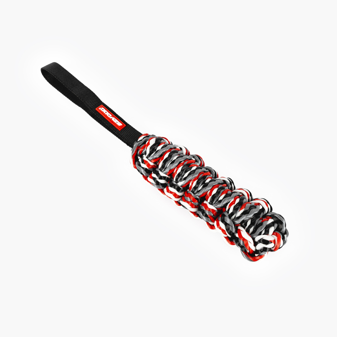 EZYDOG Beaver Tail Dog Toy