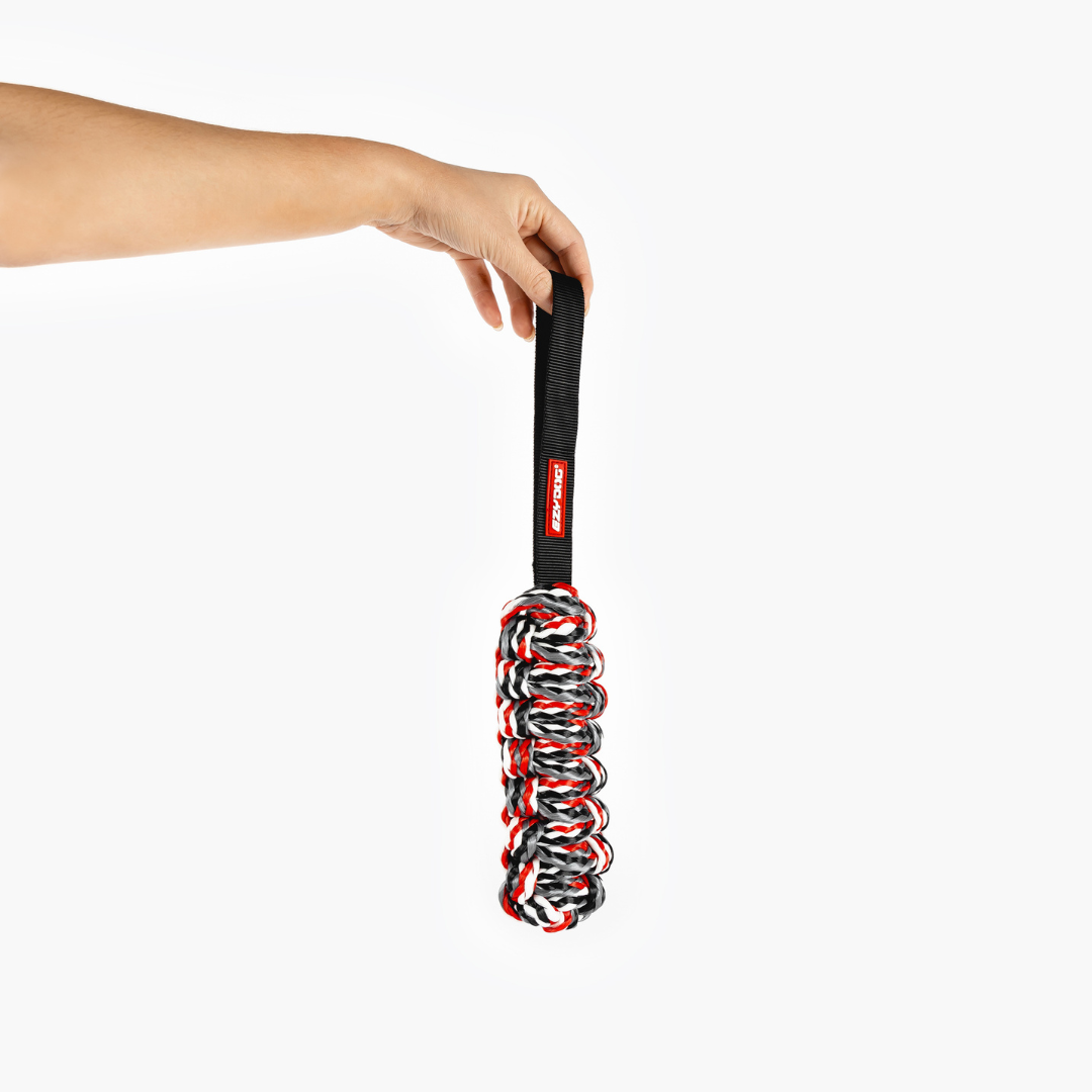 EZYDOG Beaver Tail Dog Toy