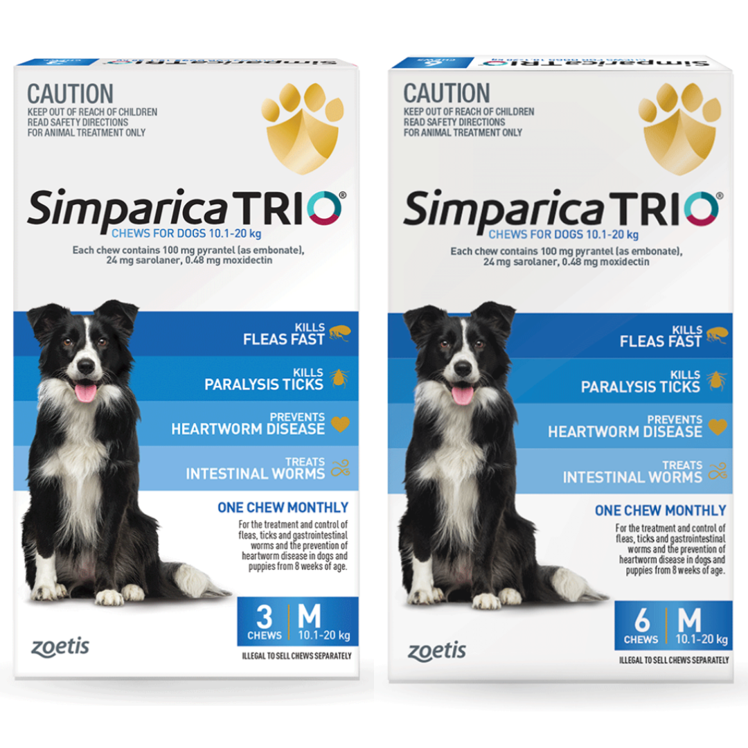 Simparica Trio 10.1-20kg Medium Dogs