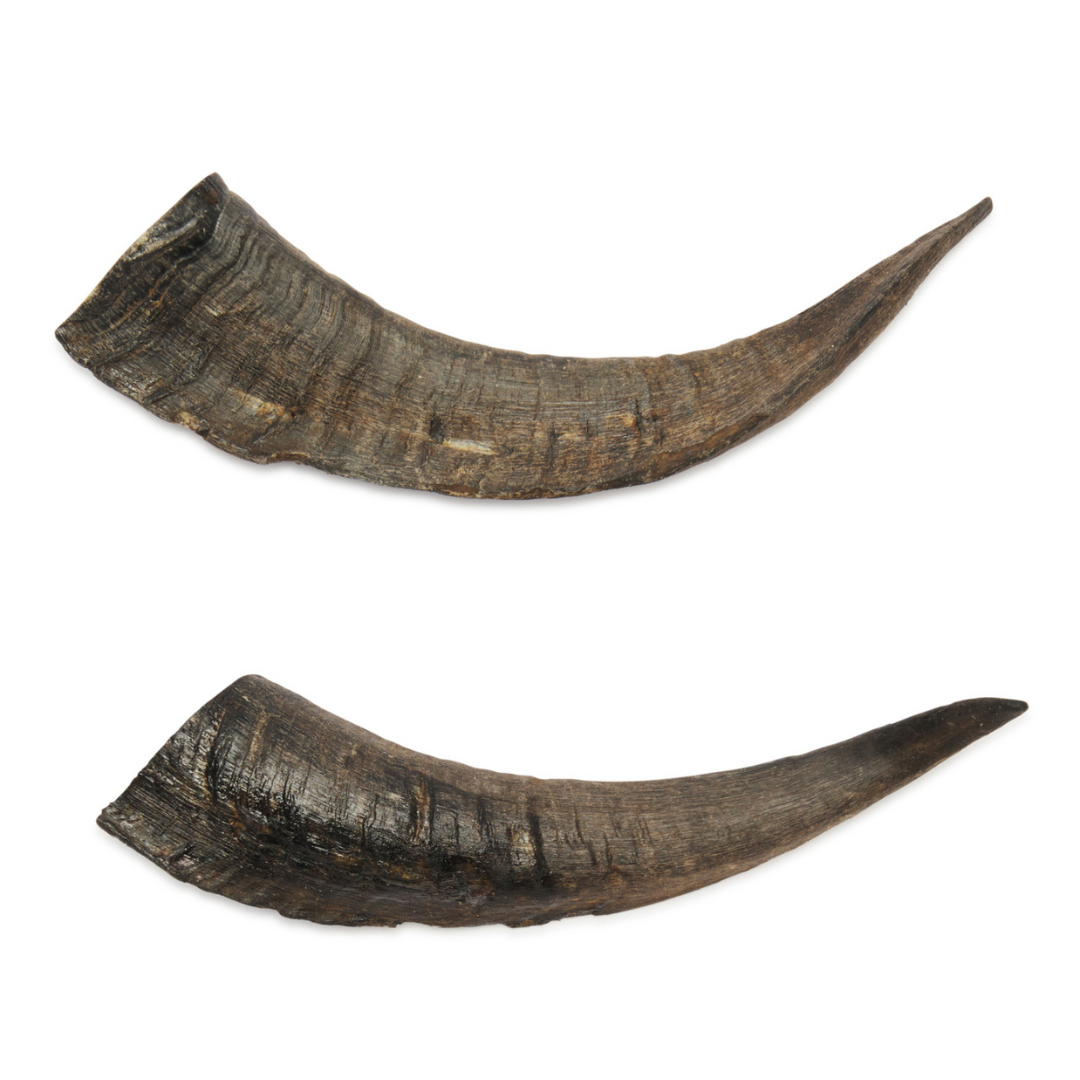 Goat horns