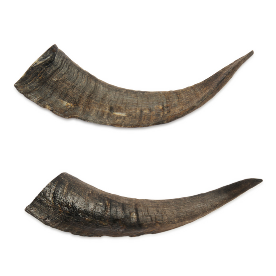 Goat horns