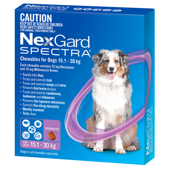 Nexgard Spectra Large Dog